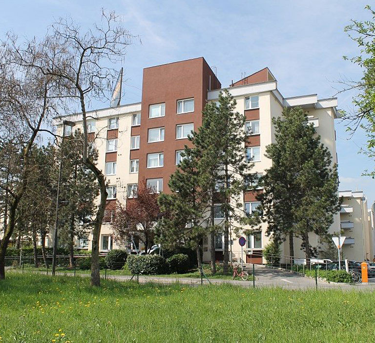 DSO Ljubljana Bežigrad